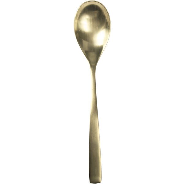 Bcn Satin Champagne Table Spoon