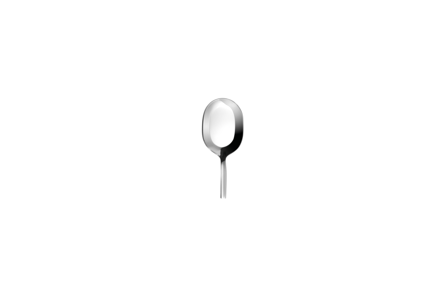 Lab Oval Tasting Spoon