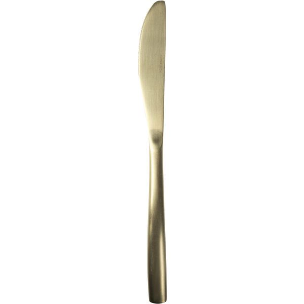 Bcn Satin Champagne Table Knife