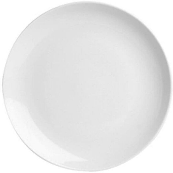 APS Basics Flat Plate 25cm